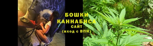 мяу мяу мука Беломорск