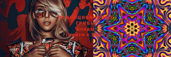 альфа пвп Снежногорск