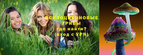 эйфоретик Богородицк