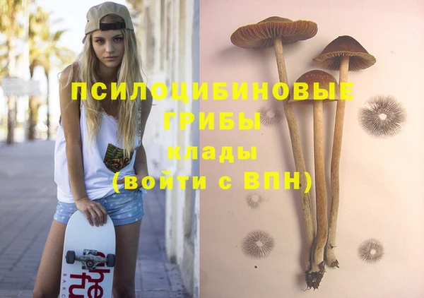 эйфоретик Богородицк