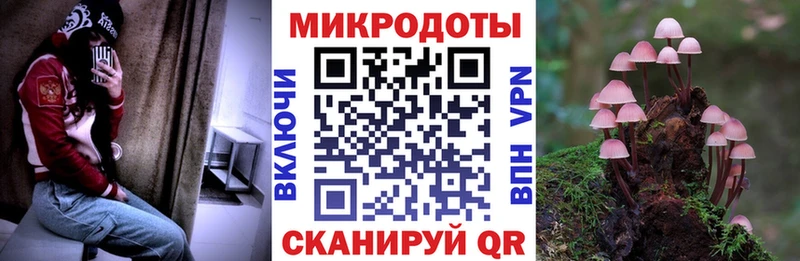 Псилоцибиновые грибы Cubensis  Называевск 