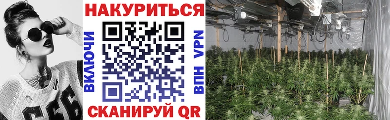 Бошки Шишки сатива  цены   Называевск 